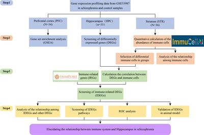 Exploration of the relationship between hippocampus and immune system in schizophrenia based on immune infiltration analysis